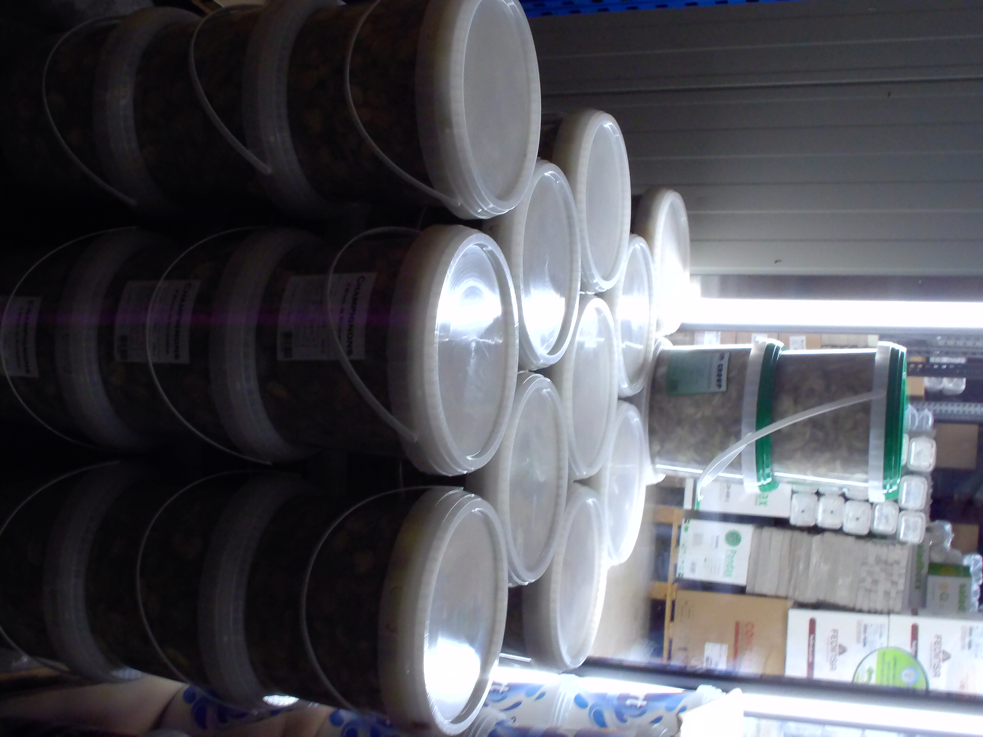 Champignon in Kübel 5,5kg