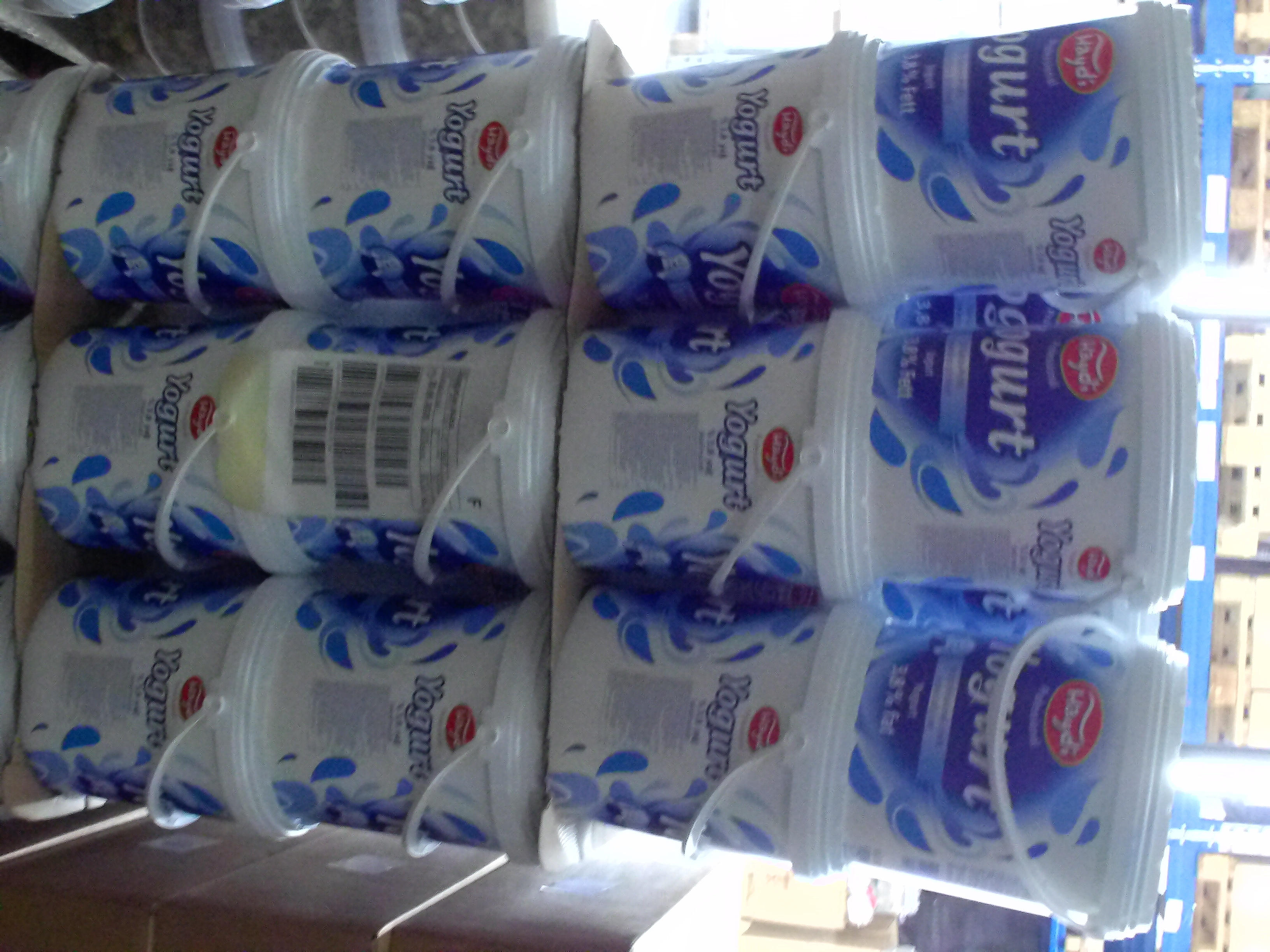 Haydi Joghurt